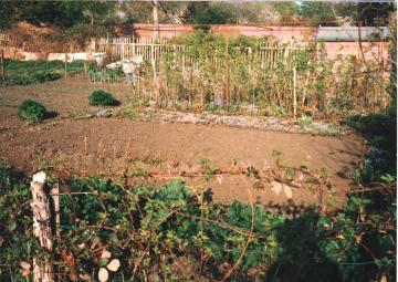 Sue's excellently kept plot!