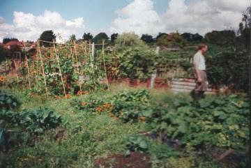 summer allotment