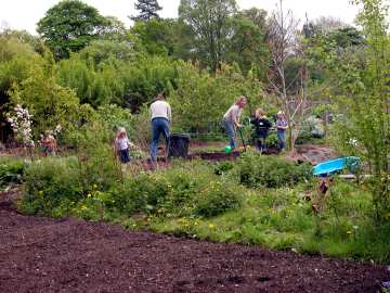 Get the kids down to your plot.  They love poking about!