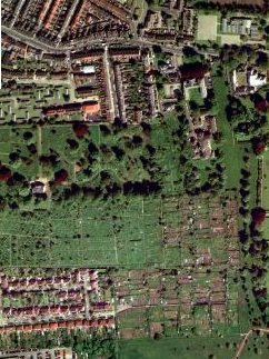 The allotments dwarfed by the cemetery