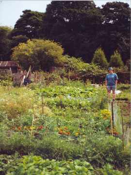 Before and after shots of plot