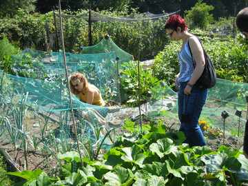 Late summer means there's always a welcome for spare hands (hint!)