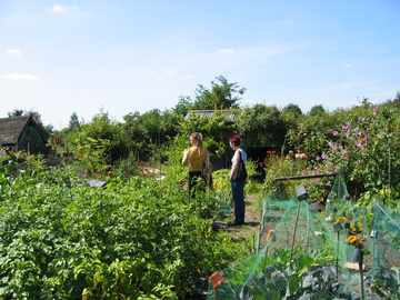 Potatoes, flowers, weeds, what more could a girl ask for?