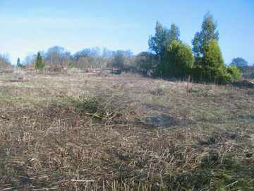 Cleared plots